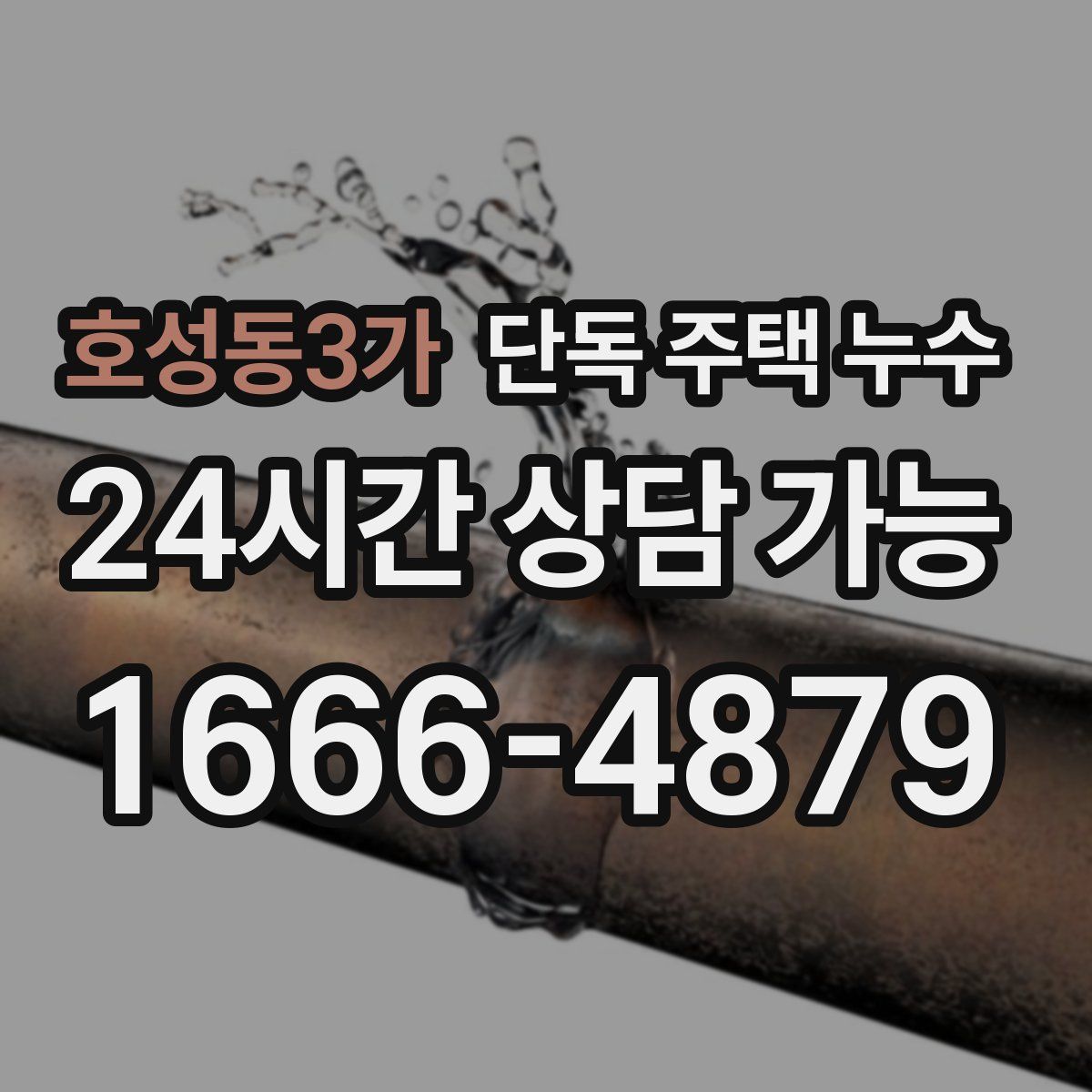 호성동3가 단독 주택 누수
