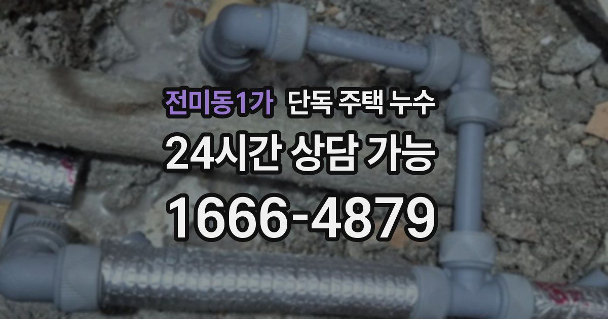 전미동1가 단독 주택 누수