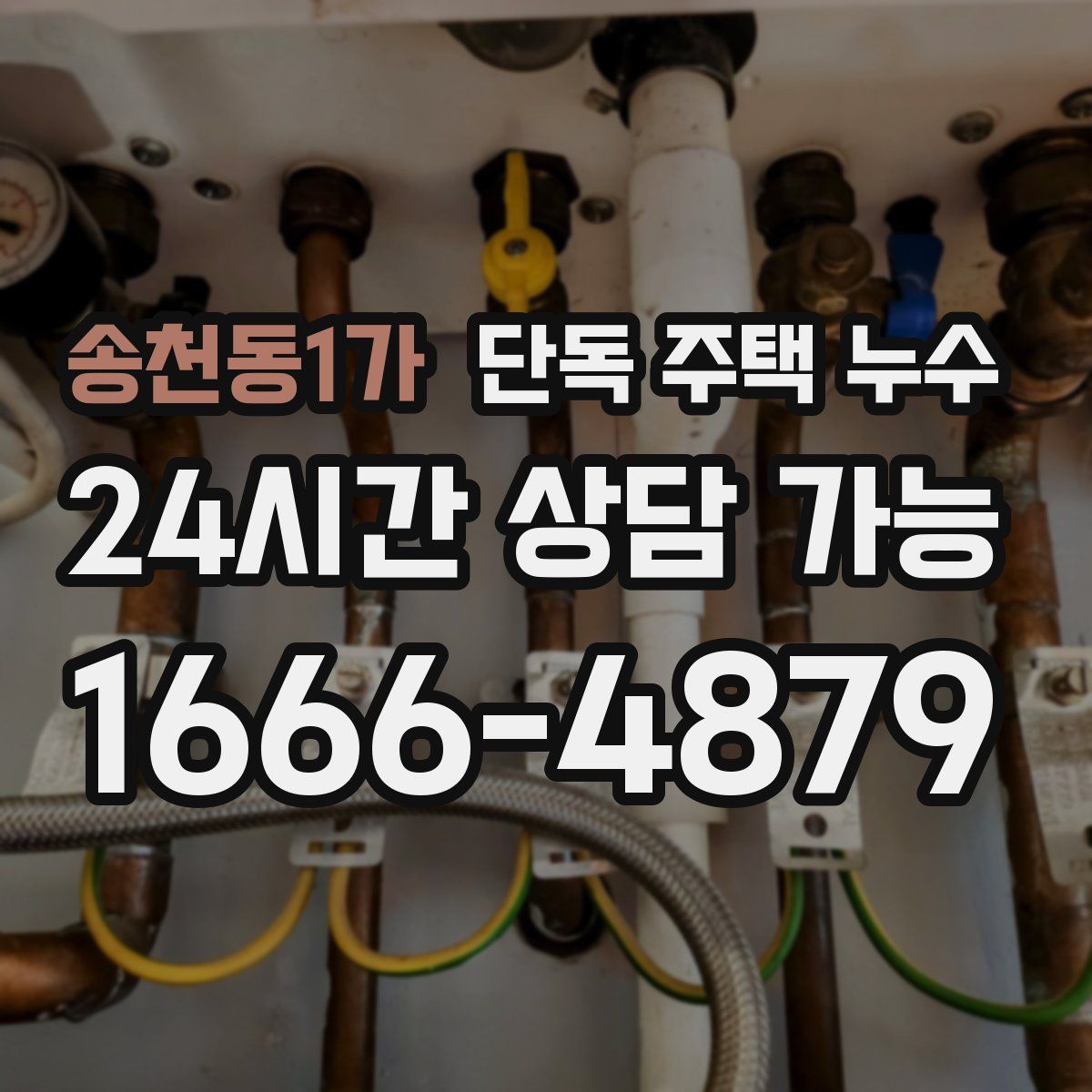 송천동1가 단독 주택 누수