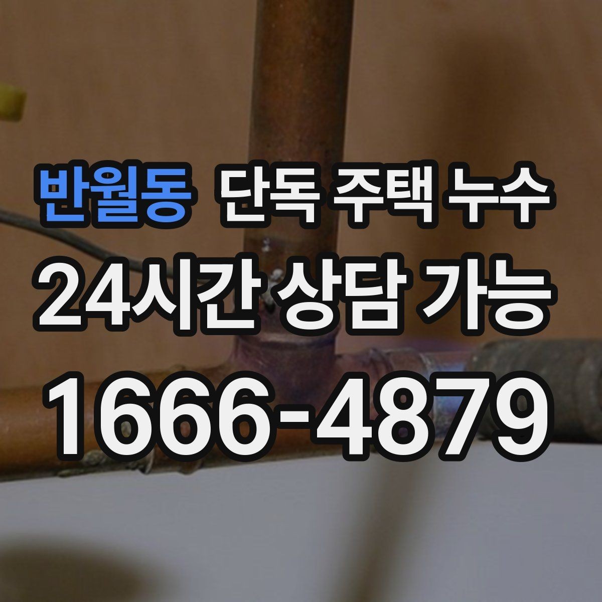 반월동 단독 주택 누수 외부 배수로 정비로 줄일 수 있는 문제