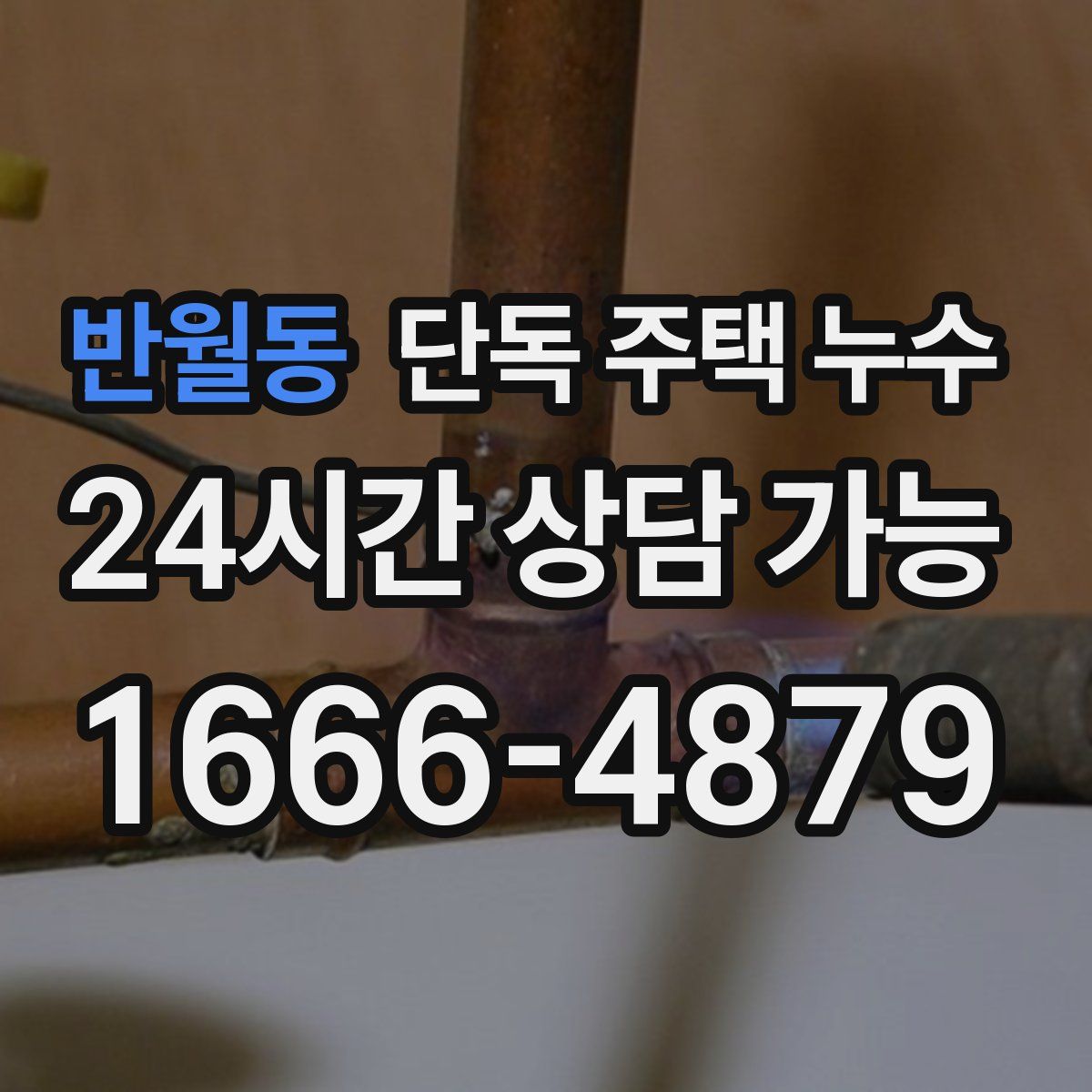 반월동 단독 주택 누수