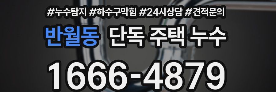 반월동 단독 주택 누수
