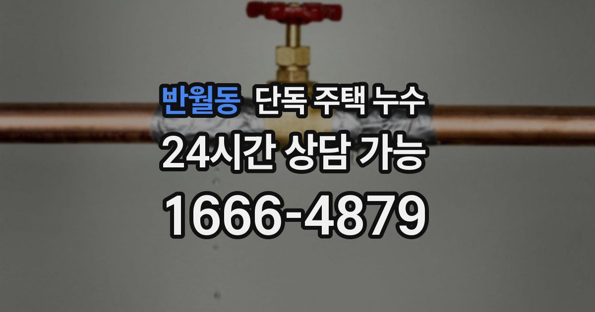 반월동 단독 주택 누수