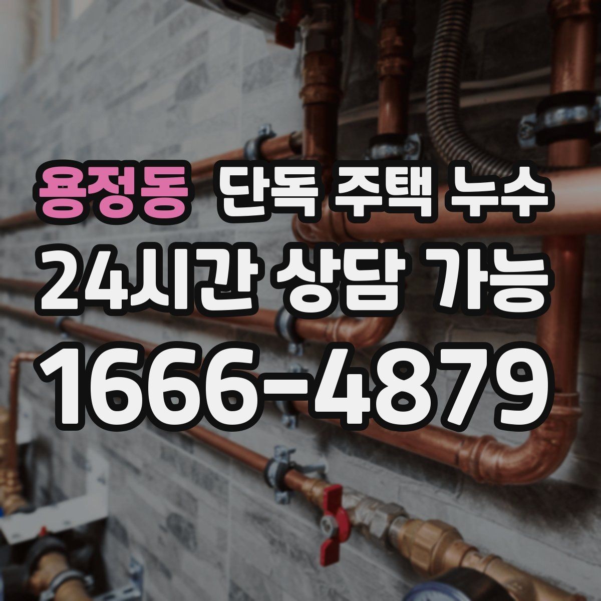 용정동 단독 주택 누수 기초부 주변이 젖는다면 확인할 점