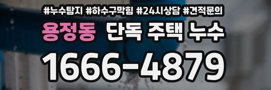 용정동 단독 주택 누수