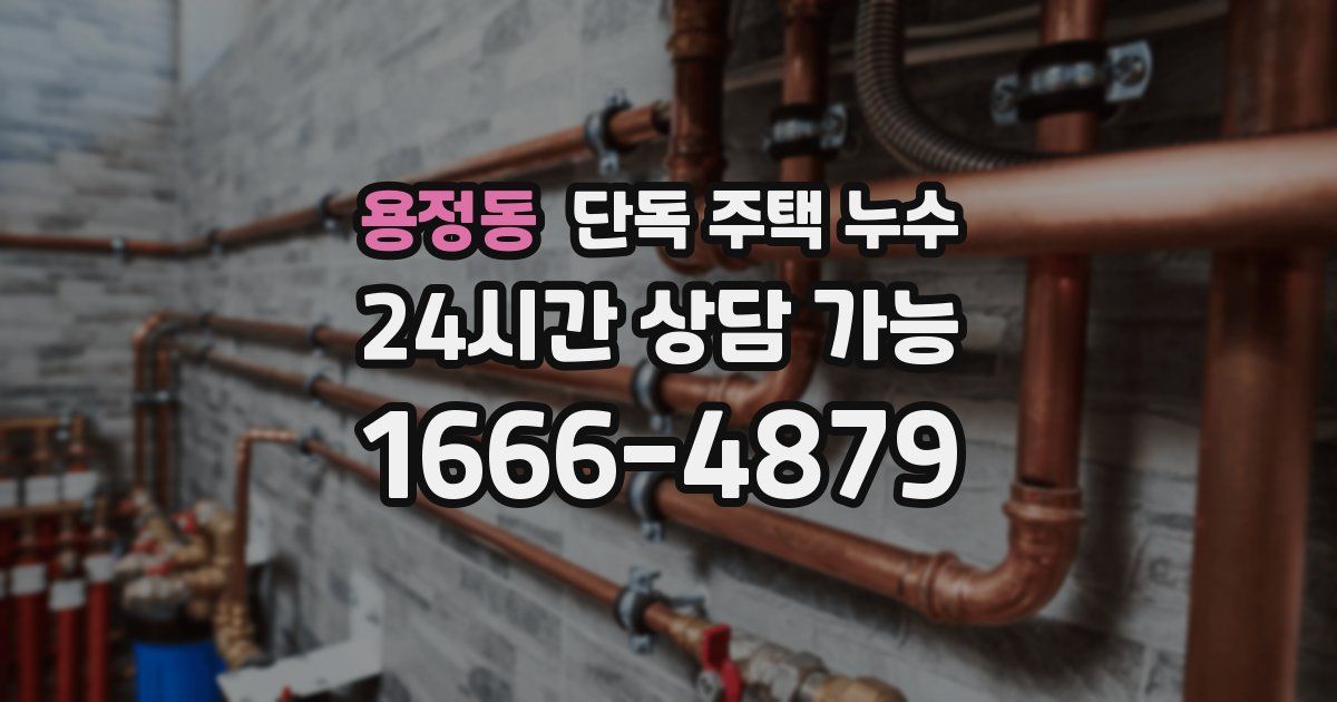 용정동 단독 주택 누수