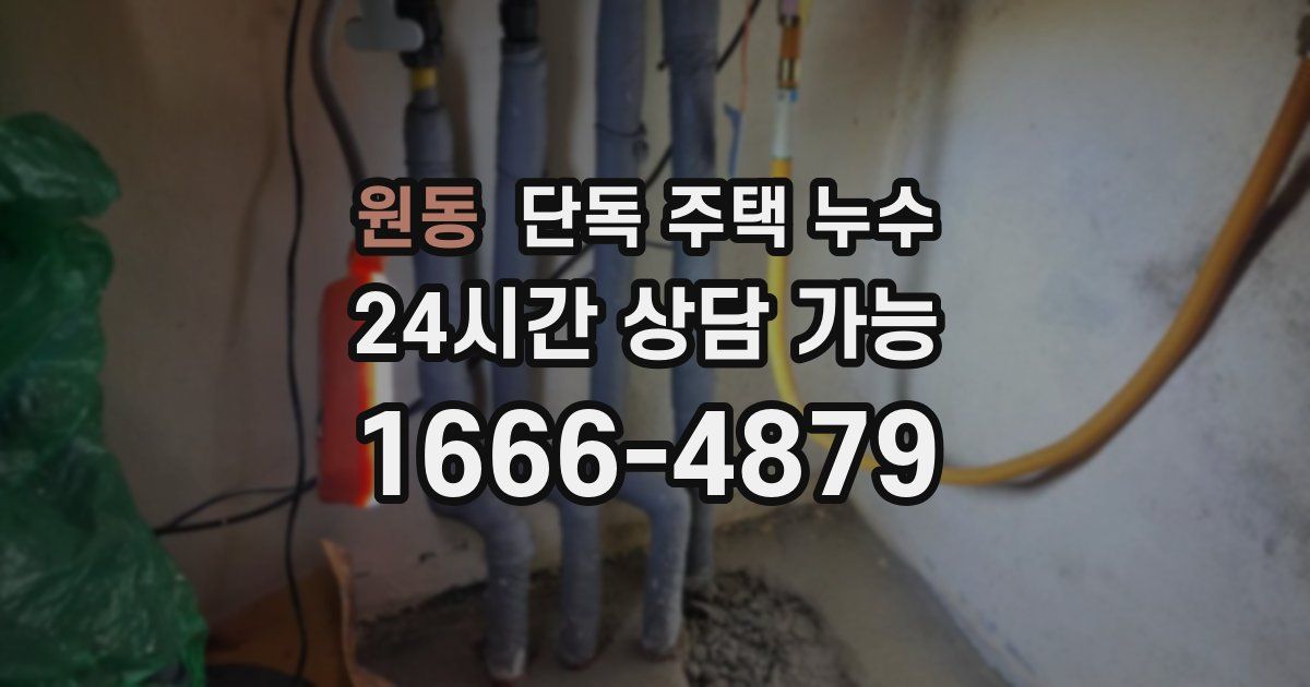 원동 단독 주택 누수