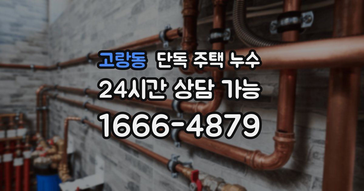 고랑동 단독 주택 누수