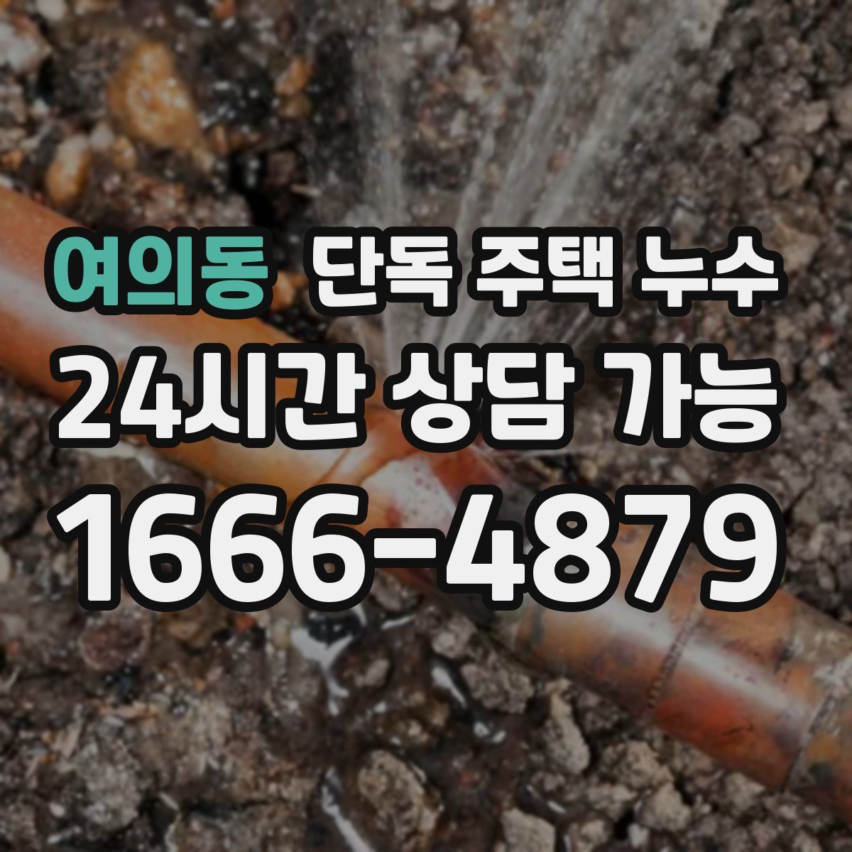 여의동 단독 주택 누수