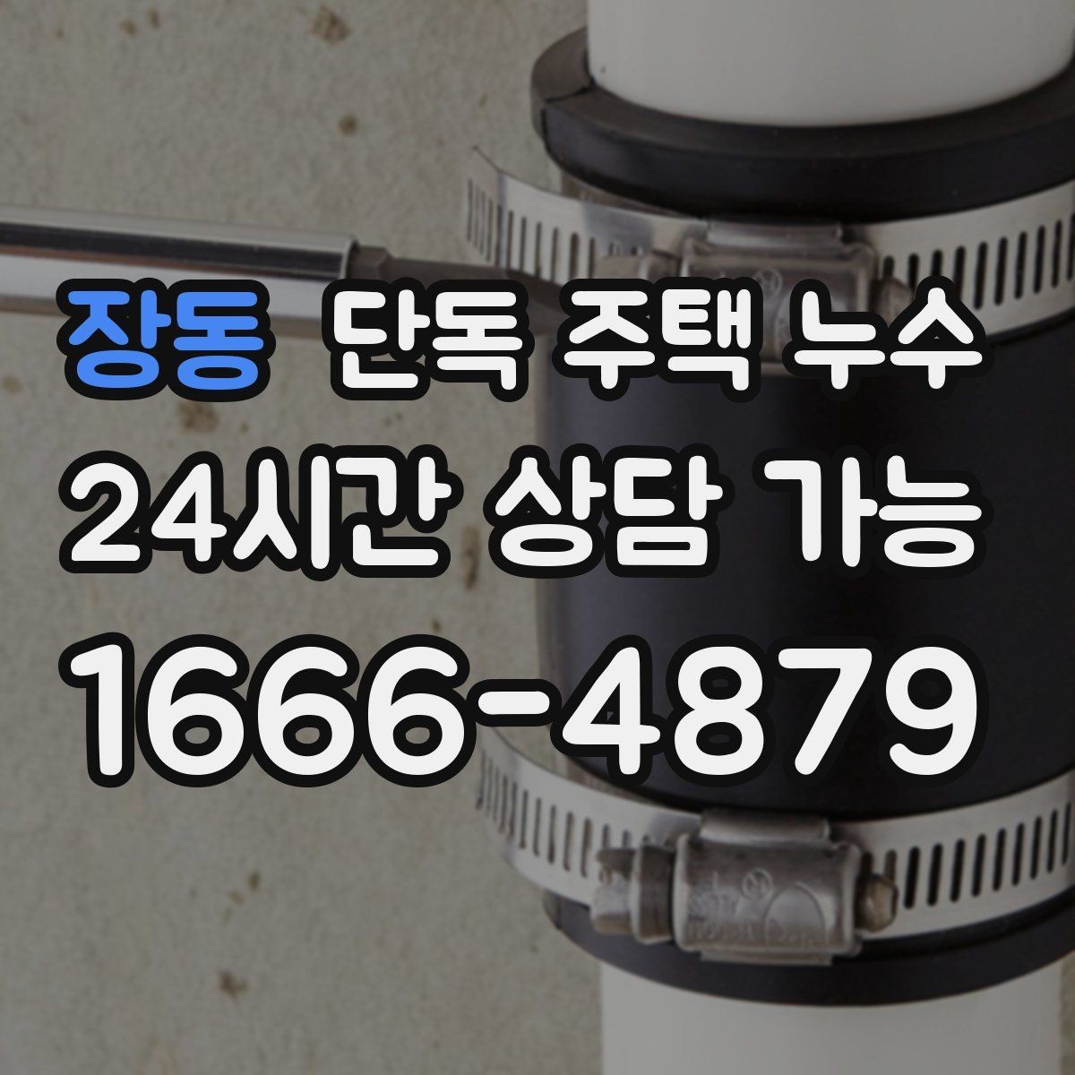 장동 단독 주택 누수 장마철 긴급 상황에서 우선순위는 무엇일까
