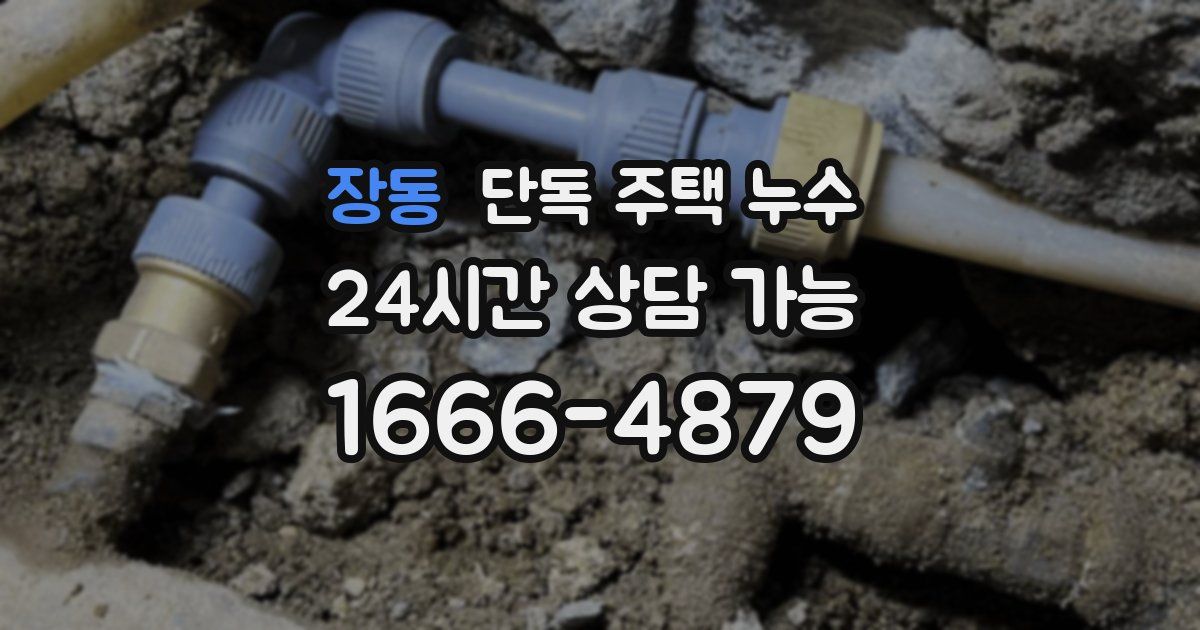 장동 단독 주택 누수