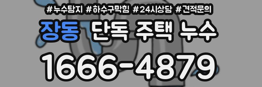 장동 단독 주택 누수