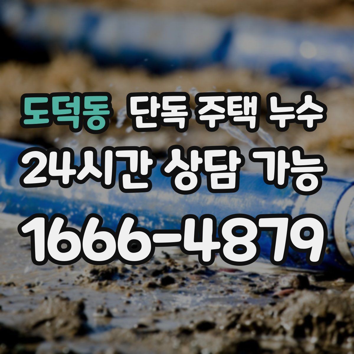 도덕동 단독 주택 누수 사진만 잘 찍어도 원인 좁히는 데 도움 된다