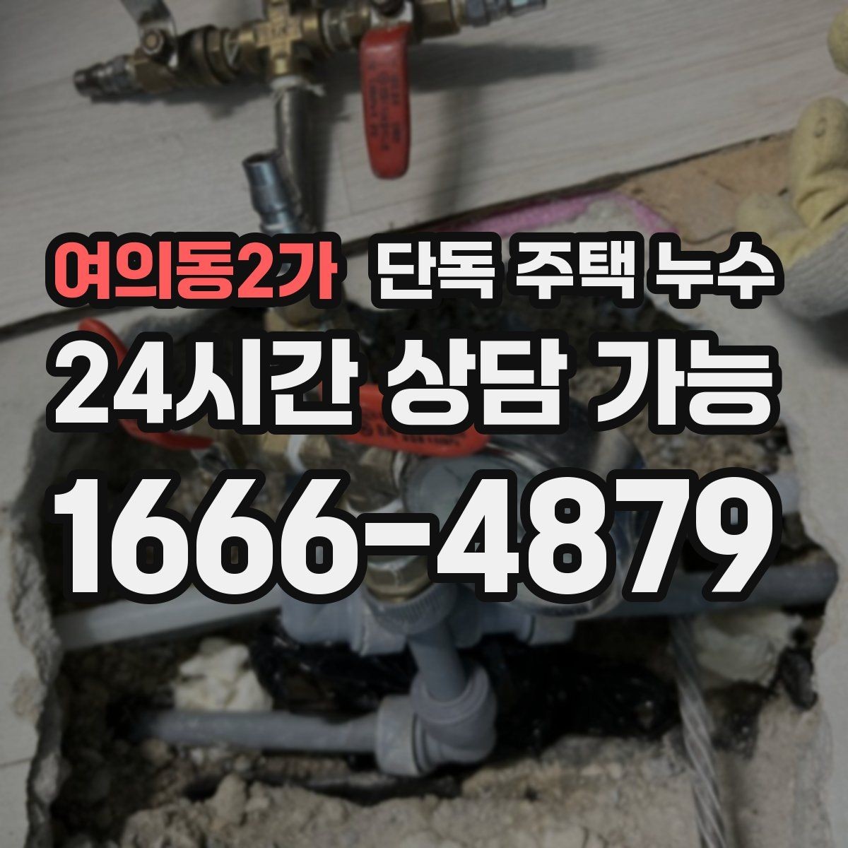 여의동2가 단독 주택 누수 위층 없는 단독집도 욕실 누수가 생긴다