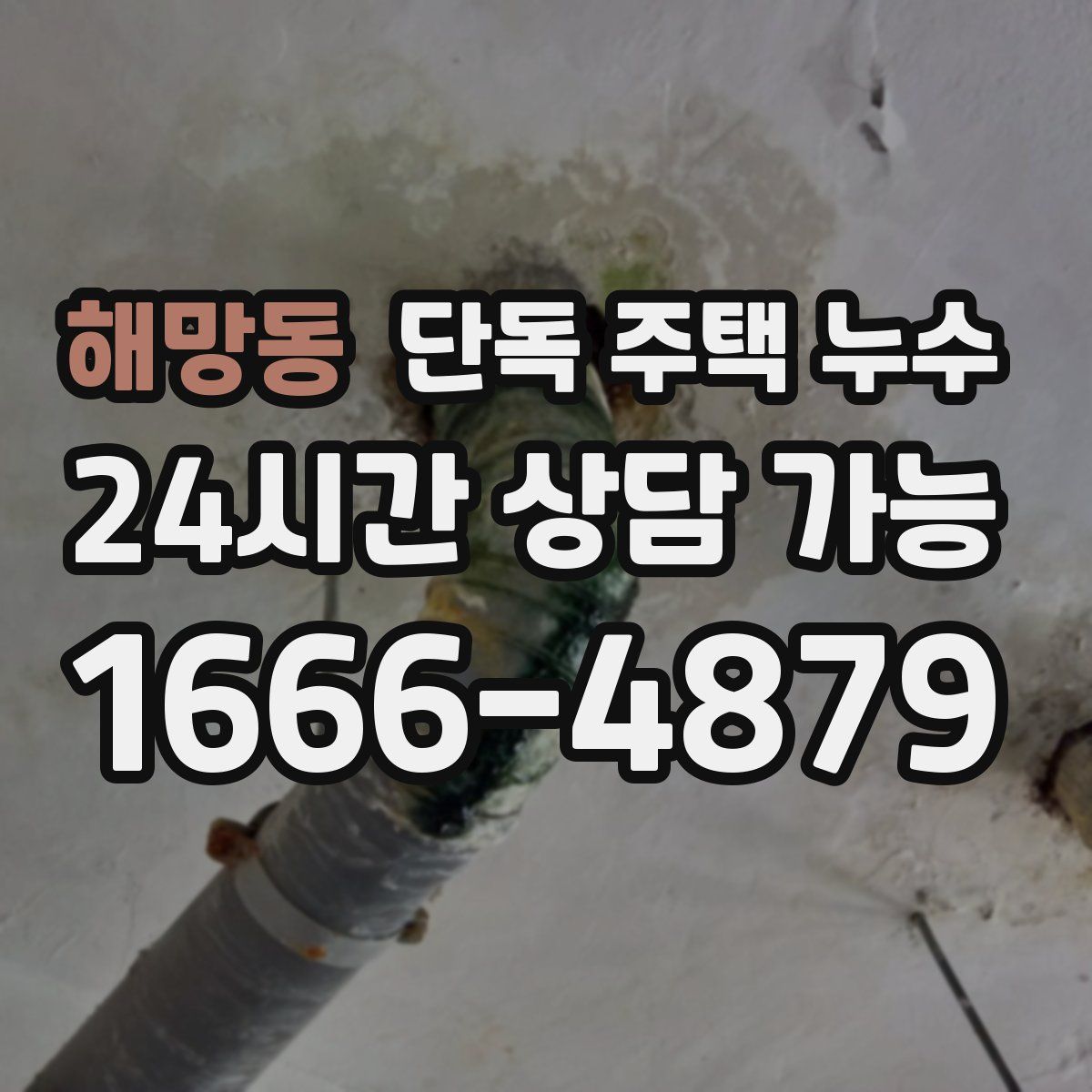 해망동 단독 주택 누수