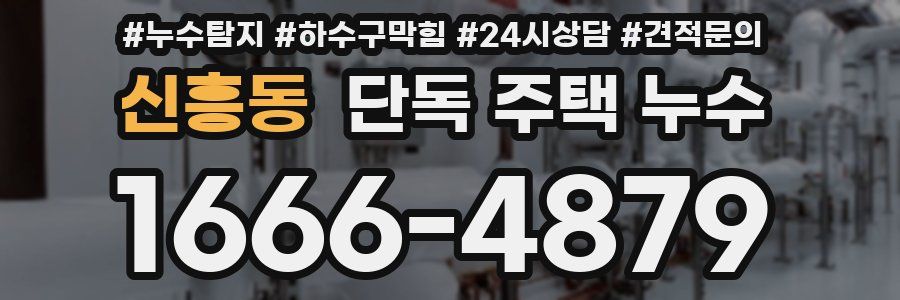 신흥동 단독 주택 누수