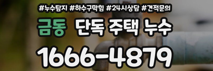 금동 단독 주택 누수