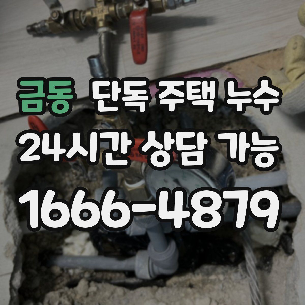 금동 단독 주택 누수