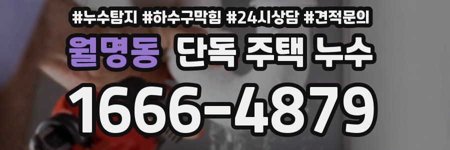 월명동 단독 주택 누수