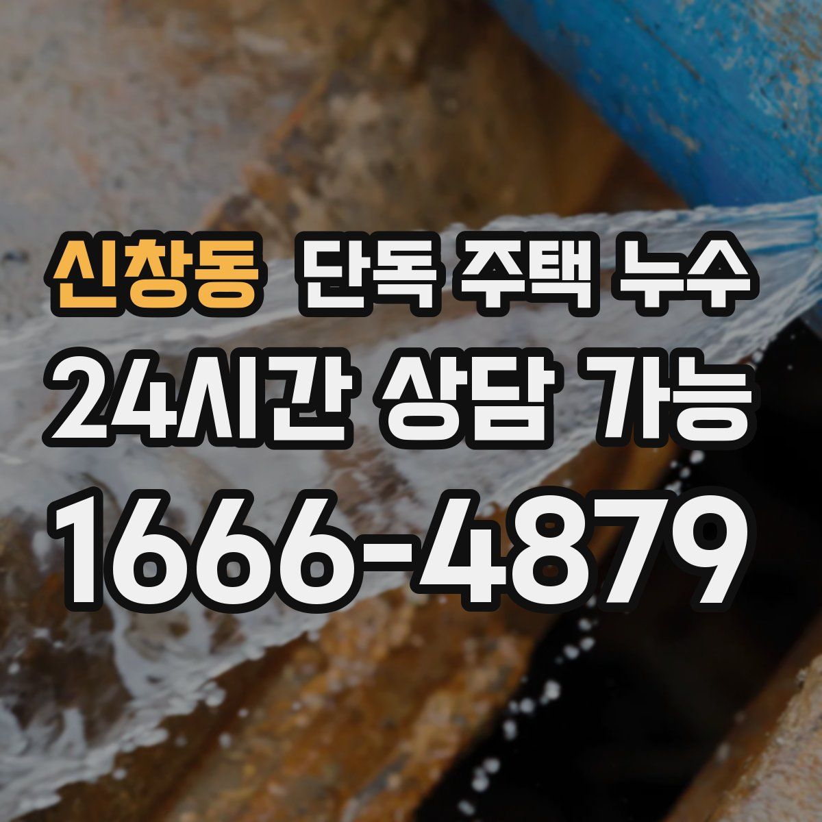 신창동 단독 주택 누수