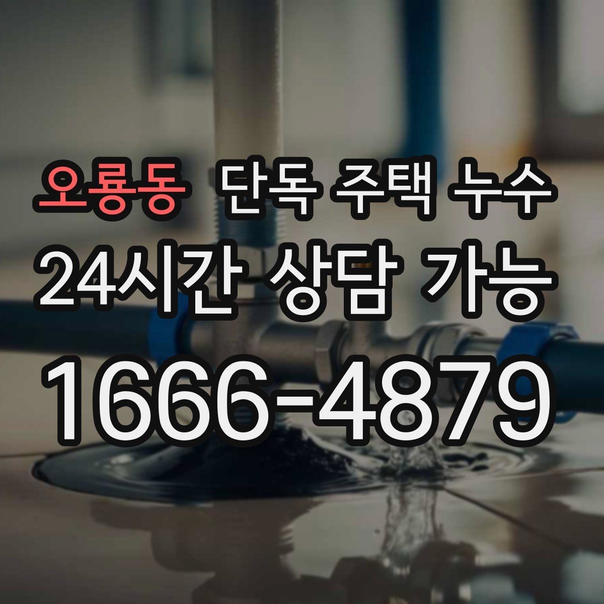 오룡동 단독 주택 누수 난방 압력 이상과 누수의 연관성