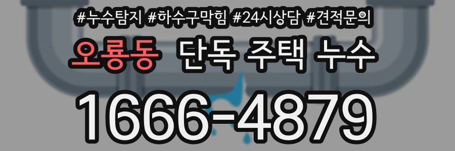 오룡동 단독 주택 누수