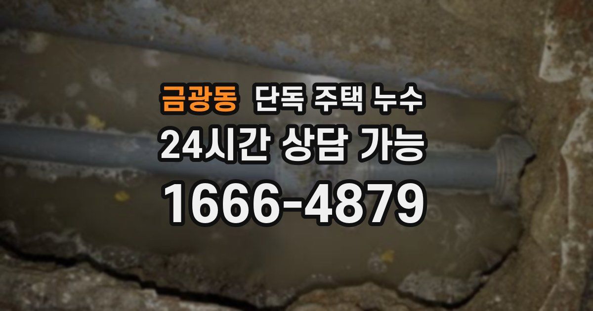 금광동 단독 주택 누수