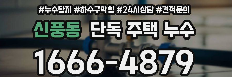 신풍동 단독 주택 누수