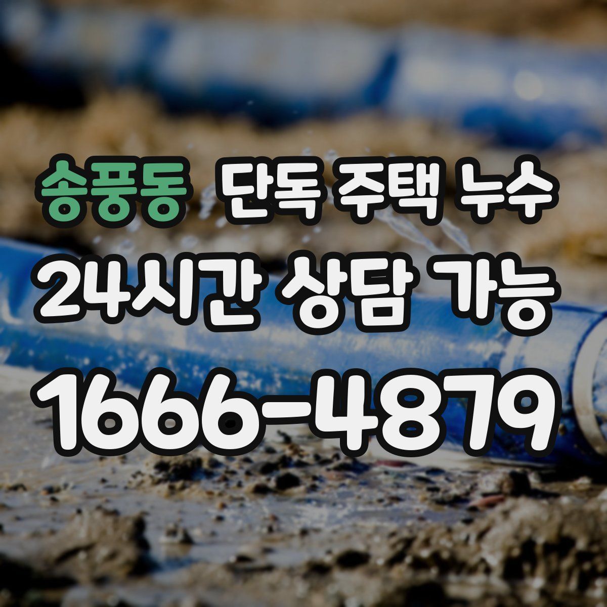 송풍동 단독 주택 누수