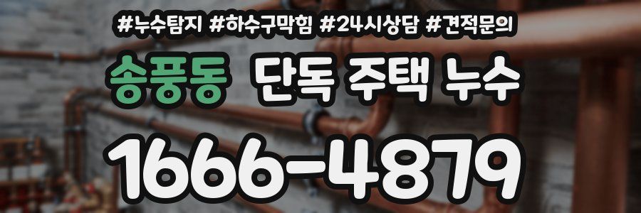 송풍동 단독 주택 누수