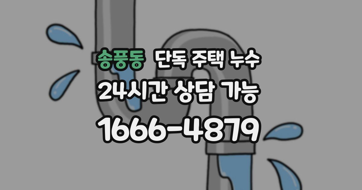 송풍동 단독 주택 누수