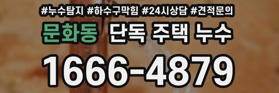 문화동 단독 주택 누수