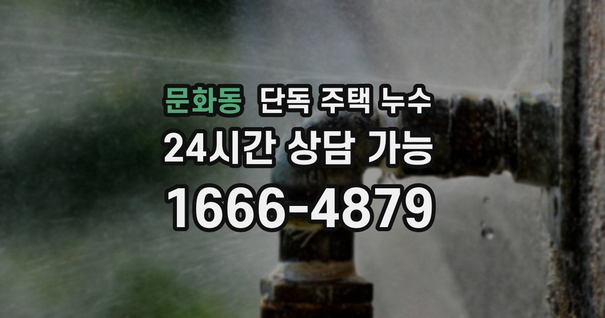 문화동 단독 주택 누수