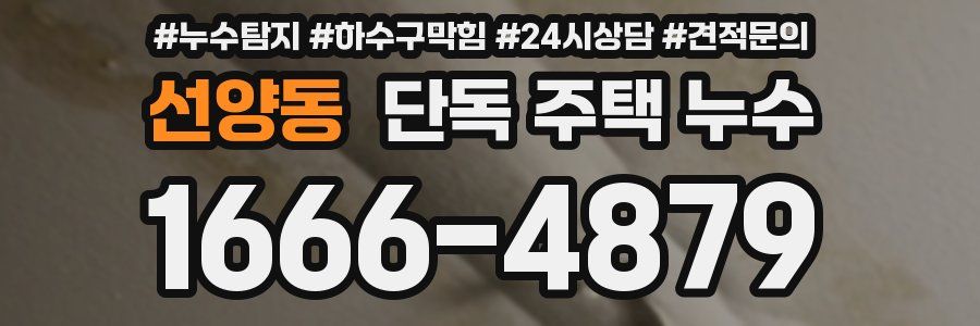 선양동 단독 주택 누수