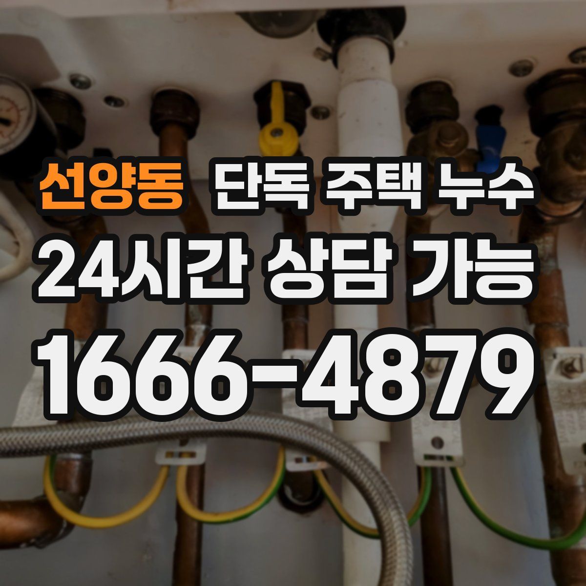 선양동 단독 주택 누수