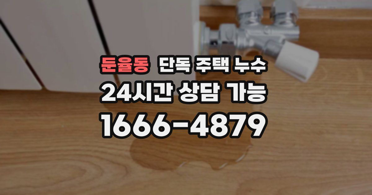 둔율동 단독 주택 누수