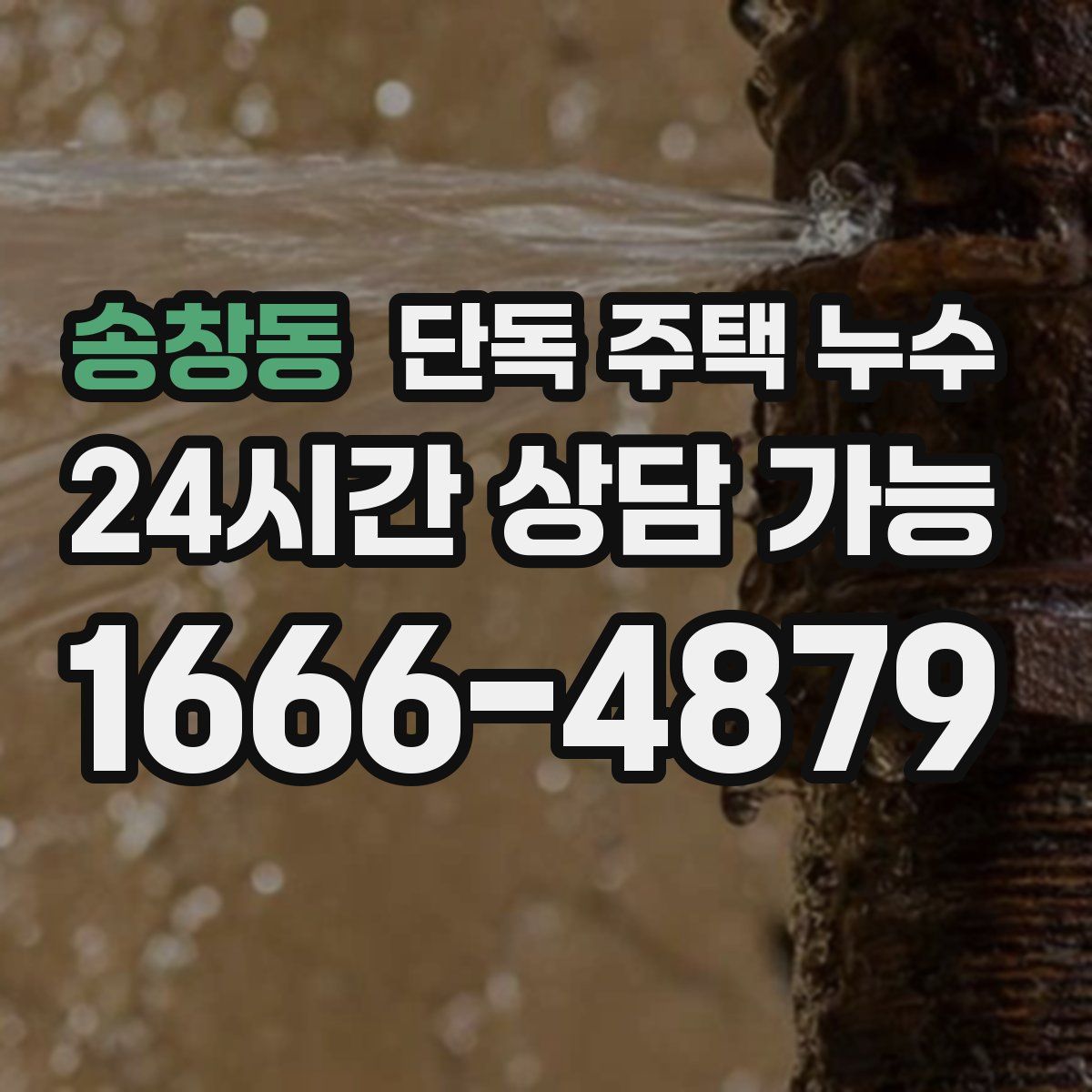 송창동 단독 주택 누수