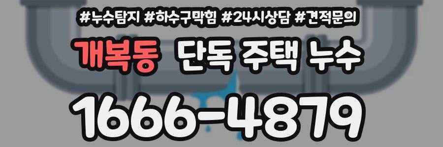 개복동 단독 주택 누수