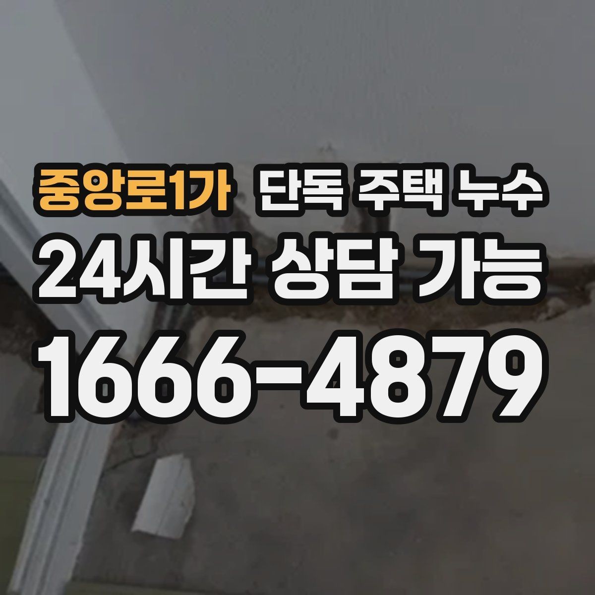 중앙로1가 단독 주택 누수 세탁기 급수호스 연결부 누수 점검