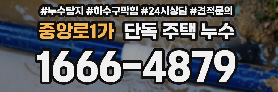중앙로1가 단독 주택 누수