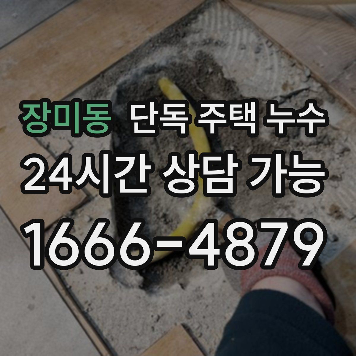 장미동 단독 주택 누수 원인별로 달라지는 물자국 패턴 총정리