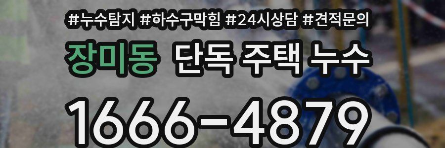 장미동 단독 주택 누수