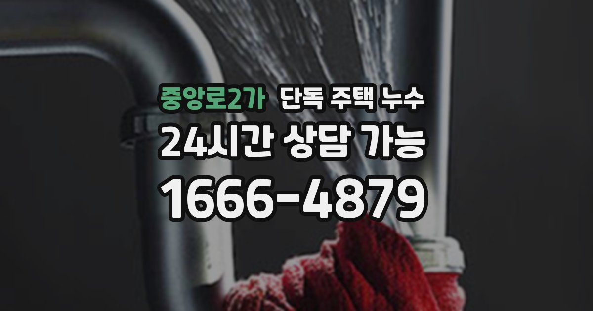 중앙로2가 단독 주택 누수