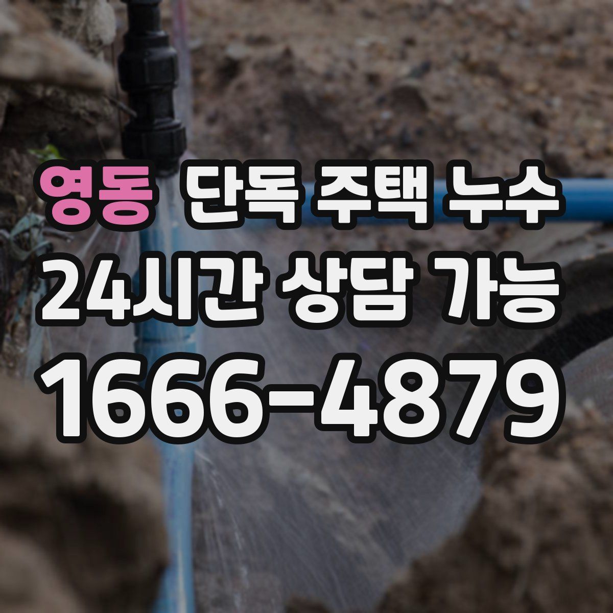 영동 단독 주택 누수
