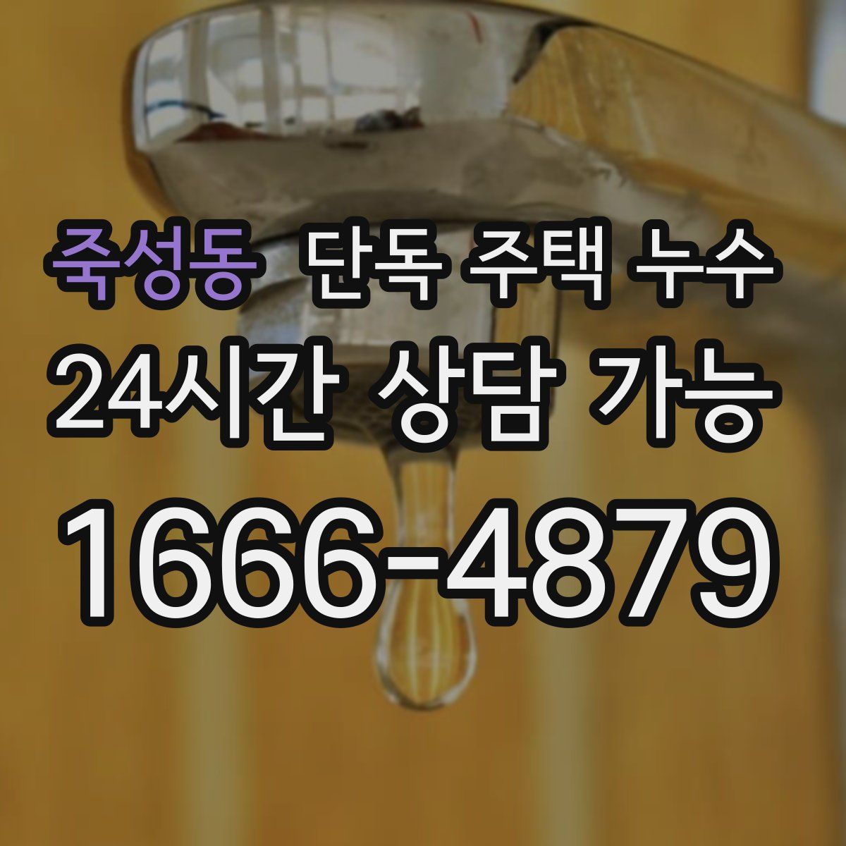 죽성동 단독 주택 누수