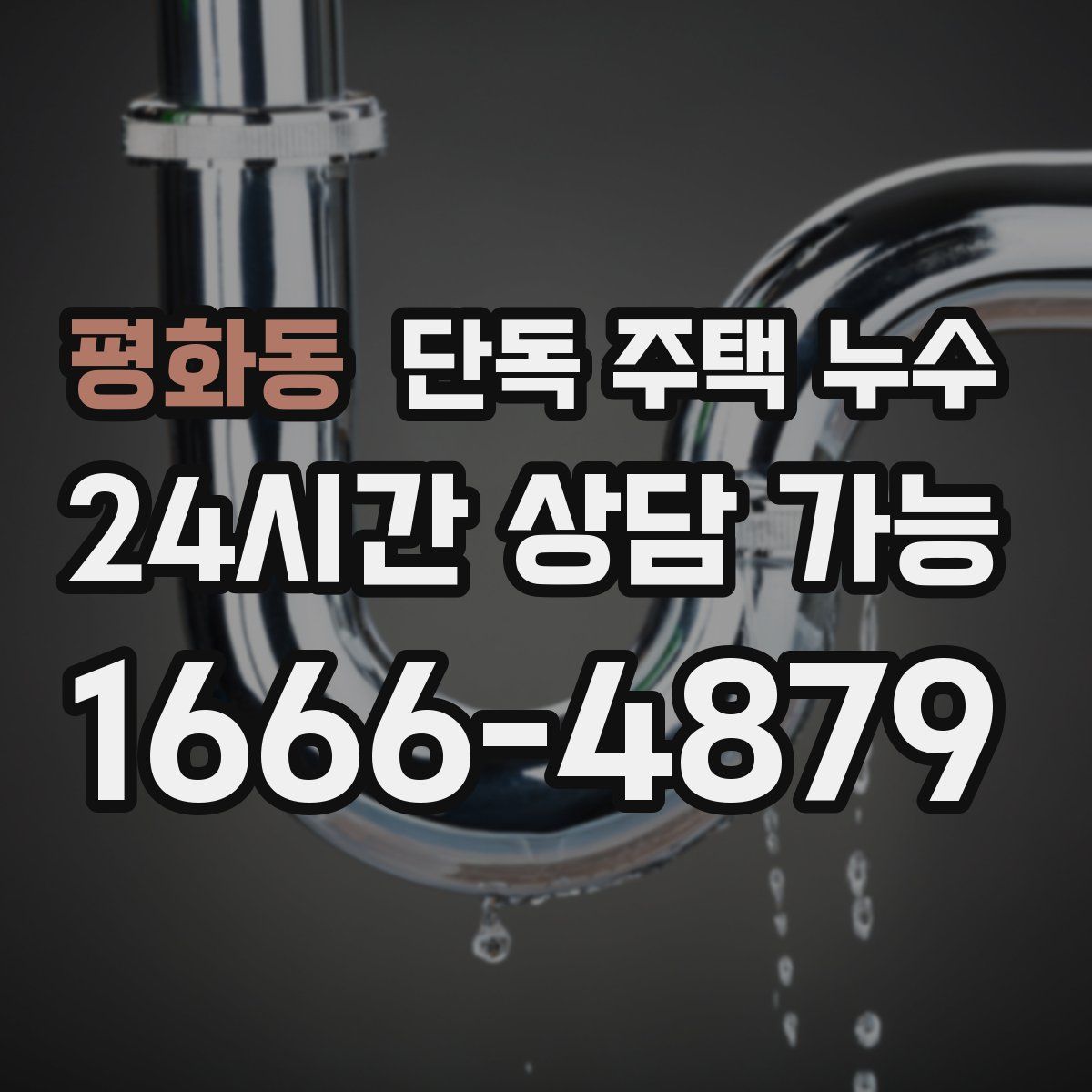 평화동 단독 주택 누수