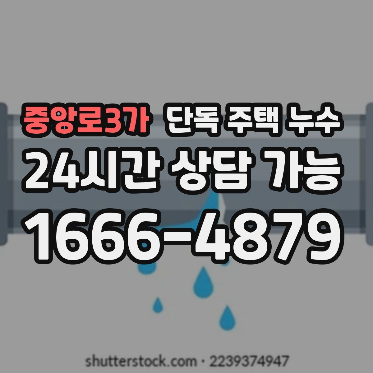 중앙로3가 단독 주택 누수 용마루 주변에서 누수가 시작되는 신호