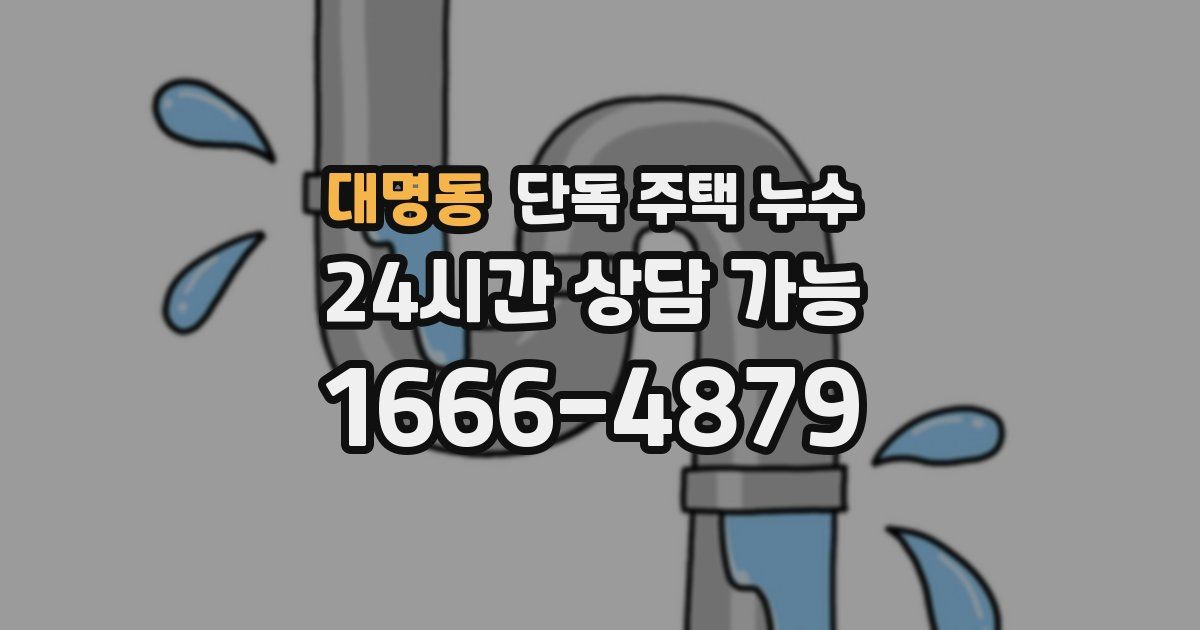 대명동 단독 주택 누수