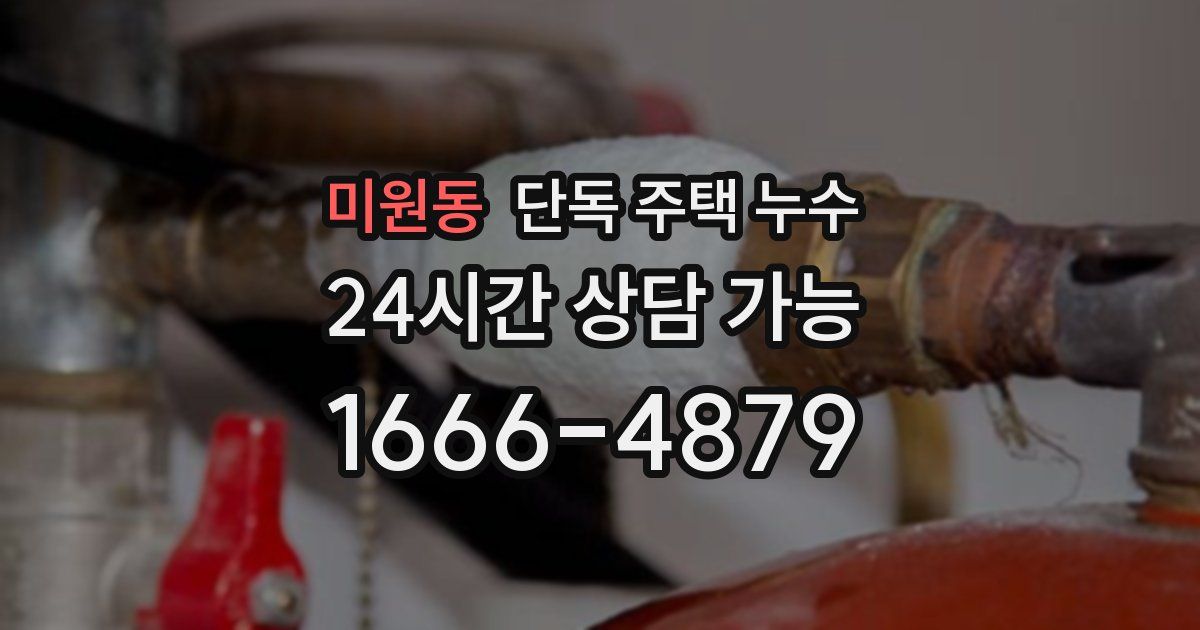 미원동 단독 주택 누수
