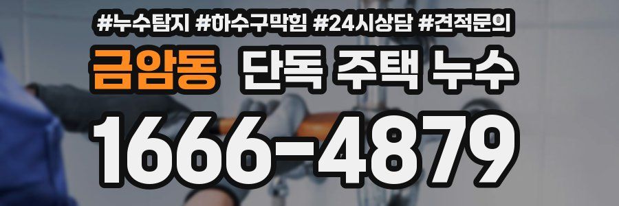 금암동 단독 주택 누수